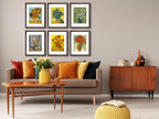 Set of 6 Walnut Photo Frames for 8x10 or 11x14 Pictures, Wall and Tabletop Display