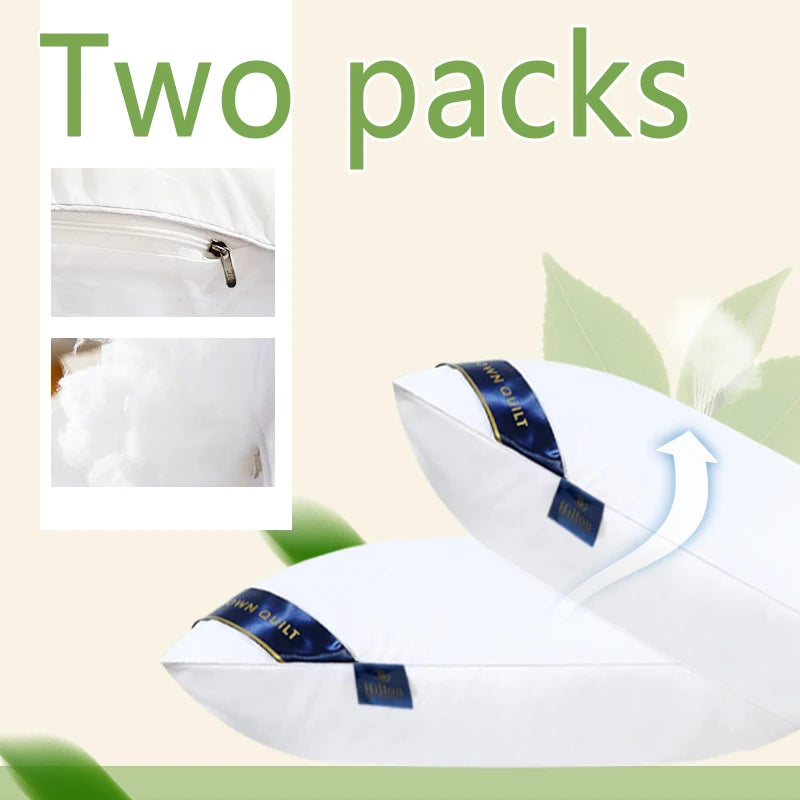 Luxury Hotel Hilton Leisure Pillow