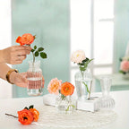 8/16 Piece Modern Transparent Glass Vase Set