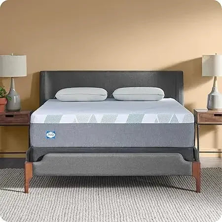 Sealy Dreamlife 12-Inch Foam Mattress, Twin XL