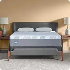 Sealy Dreamlife 12-Inch Foam Mattress, Twin XL