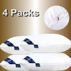 Luxury Hotel Hilton Leisure Pillow