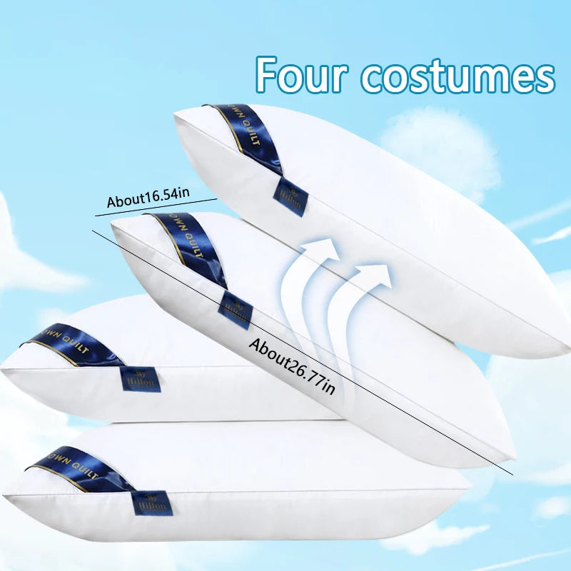 Luxury Hotel Hilton Leisure Pillow