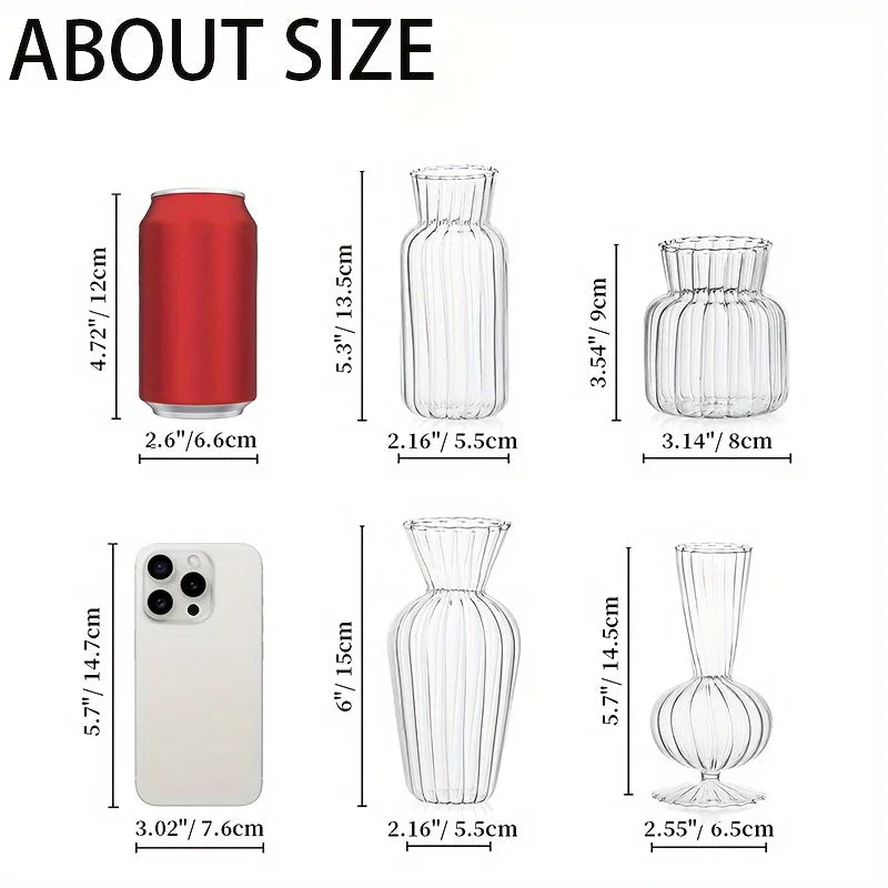 8/16 Piece Modern Transparent Glass Vase Set