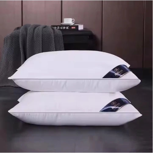 Luxury Hotel Hilton Leisure Pillow
