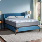 Sealy Dreamlife 12-Inch Foam Mattress, Twin XL